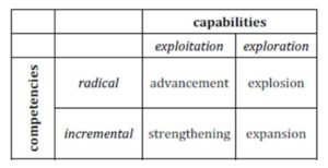 Capabilities-competencies matrix
