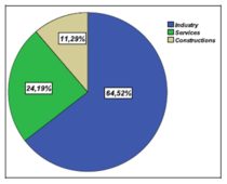 Distribution of the analysed companies per activity field