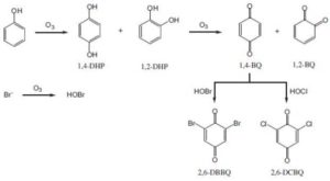 628833-fig-3