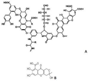 628833-fig-4