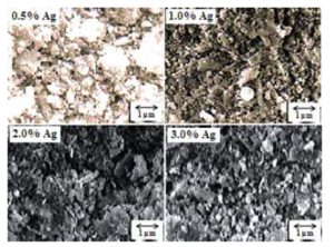Scanning electron micrographs of milled powders with different amounts of silver