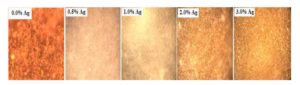 Micrographs of the sintered samples at 1500°C during 2 hours