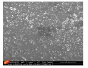 SEM micrographs of PNIPAM — ZnO nanocomposites 0.8 % ZnO