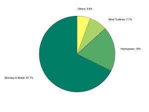 Breakdown of renewable energy use throughout European Union