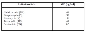 Antimicrobial susceptibility of S. Abortusovis 205