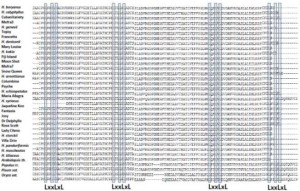 Comparison of the Putative Amino Acid Sequences of HibMAX2 Obtained from Cultivars and Botanical Species. The Homologous Sequences of Arabidopsis, Pea, Rice and Poplar are Compared with HibMAX2. The Imperfect LRR Repeats are Shaded.