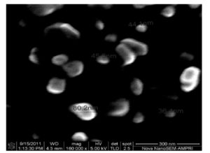 SEM micrographs of ZnO nanoparticles