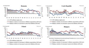 Balance statistics of perceived and expected inflation