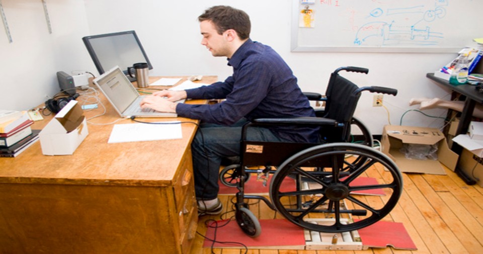 IBIMA Publishing The Employment of Persons with Disabilities as a ...